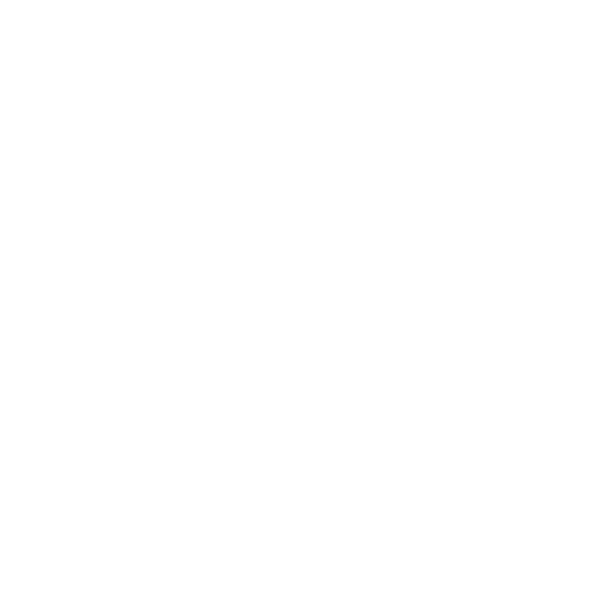 Jet logo